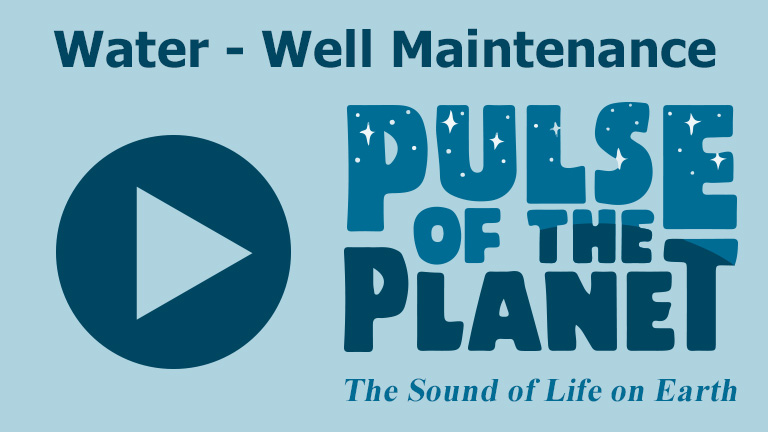 Pulse of the Planet thumbnail